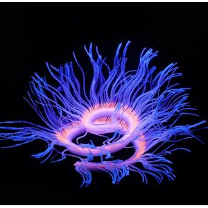 GreenZech (Blue) Aquarium Fish Tank Waterplant Decor Glowing Sea Anemone Coral Plant Ornam GreenZech (Blue) Aquarium Fish Tank Waterplant Decor Glowing Sea Anemone Coral Plant Ornam