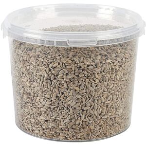 Garden Ting Premium Sunflower Hearts Kernels Wild Bird Food Tub 3 Litre Garden Ting Premium Sunflower Hearts Kernels Wild Bird Food Tub 3 Litre