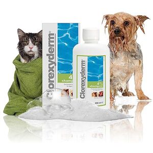 ICF Eames ICF Clorexyderm Dog Shampoo For Itchy Skin Relief Anti Itch + Antifungal + A ICF Eames ICF Clorexyderm Dog Shampoo For Itchy Skin Relief Anti Itch + Antifungal + A