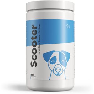 Dog's Lounge - SCOOTER - Digestive Soft Chews for Dogs Wheat Free Supplement for Healthy An Dog's Lounge - SCOOTER - Digestive Soft Chews for Dogs Wheat Free Supplement for Healthy An