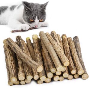 GingerUPer Catnip Sticks For Cats, Cat Dental Chew Sticks, Matatabi Cat Dental Care, Silver GingerUPer Catnip Sticks For Cats, Cat Dental Chew Sticks, Matatabi Cat Dental Care, Silver