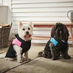 Bunty (X-Large, Blue) Dog Puppy Pet Warm Insulated Padded Coat Thick Winter Puffer Jac Bunty (X-Large, Blue) Dog Puppy Pet Warm Insulated Padded Coat Thick Winter Puffer Jac