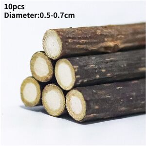 RYWOLT (10pcs) Nip Cat Sticks Dried Natural Silvervine Dental Chew Toy Teeth Clean Toot RYWOLT (10pcs) Nip Cat Sticks Dried Natural Silvervine Dental Chew Toy Teeth Clean Toot