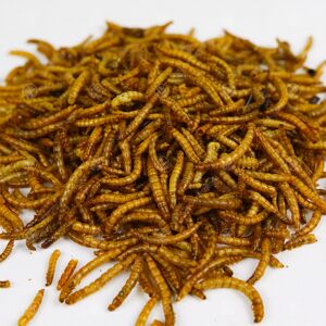 Gardeners Dream GardenersDream Dried Mealworms (400g) Gardeners Dream GardenersDream Dried Mealworms (400g)