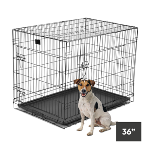 KCT 36” Large Metal Pet Crate With Floor Foldable Dog Cage Heavy Duty Training F KCT 36” Large Metal Pet Crate With Floor Foldable Dog Cage Heavy Duty Training F