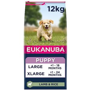 Iams Eukanuba Complete Dry Dog Food for Puppy Large and Giant Breeds with Lamb and Ri Iams Eukanuba Complete Dry Dog Food for Puppy Large and Giant Breeds with Lamb and Ri