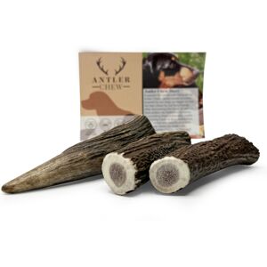 Antler-Chew Antler Chew Antler Dog Chews 3-Pack Medium (71-90g each, From 10cm) Sanded, Natu Antler-Chew Antler Chew Antler Dog Chews 3-Pack Medium (71-90g each, From 10cm) Sanded, Natu