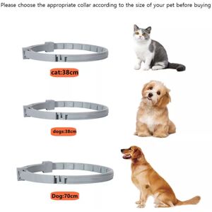 Sadodo (38cm for small dogs) Adjustable Anti Flea Tick Collar Protection Dogs Sadodo (38cm for small dogs) Adjustable Anti Flea Tick Collar Protection Dogs