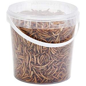 Ting Ting London Pet Ting Premium Dried Mealworms 1 Liter Tub MW1LTR - Protein-Rich Bird Snack fo Ting Ting London Pet Ting Premium Dried Mealworms 1 Liter Tub MW1LTR - Protein-Rich Bird Snack fo