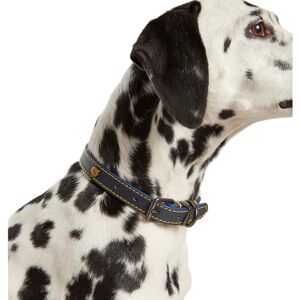 Joules Leather Dog Collar Joules Leather Dog Collar