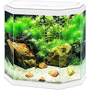 (White, 30) Ciano Aqua 20 and 30 Classic Aquarium White/Black with Filter Beginn (White, 30) Ciano Aqua 20 and 30 Classic Aquarium White/Black with Filter Beginn