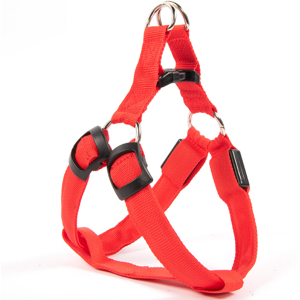 Unbranded (Red, M) Led Dog Harness Safety Nylon Strap Adjustable Flashing Light Up Recharg Unbranded (Red, M) Led Dog Harness Safety Nylon Strap Adjustable Flashing Light Up Recharg