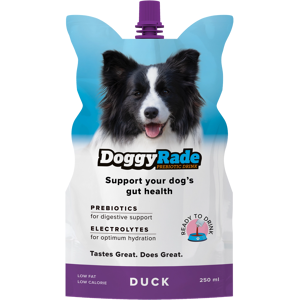 DoggyRade Duck Prebiotic Drinks For Dogs 250ml DoggyRade Duck Prebiotic Drinks For Dogs 250ml