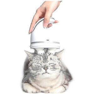 Unbranded Electric Cat Toy Pet Head Massager Cats Handheld Massage Brush Automatic Groomin Unbranded Electric Cat Toy Pet Head Massager Cats Handheld Massage Brush Automatic Groomin