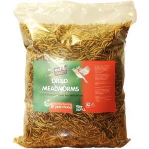 Extra Select Dried Mealworms for Wild Birds - High-Protein Food, 5 Litre Bag (Ro Extra Select Dried Mealworms for Wild Birds - High-Protein Food, 5 Litre Bag (Ro