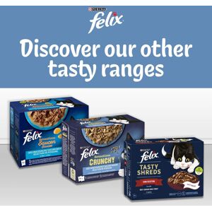 (Farm Selection in Jelly) Felix Doubly Delicious Ocean Recipes Cat Food (Farm Selection in Jelly) Felix Doubly Delicious Ocean Recipes Cat Food