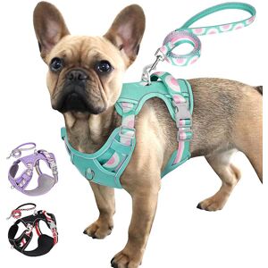 Unbranded (S:Chest 36-71cm, Blue) No Pull Dog Puppy Pet Harness &Lead set Adjustable Refle Unbranded (S:Chest 36-71cm, Blue) No Pull Dog Puppy Pet Harness &Lead set Adjustable Refle