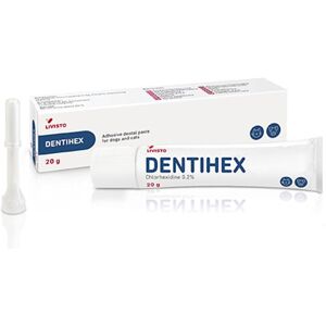Dentihex Adhesive Dental Oral Paste For Pet Cats & Dogs 20g Dentihex Adhesive Dental Oral Paste For Pet Cats & Dogs 20g