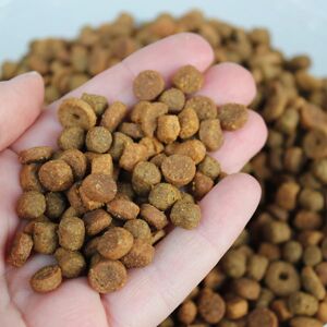 (1kg Bag) Superpet Super Premium Fox Badger And Hedgehog Food (1kg Bag) Superpet Super Premium Fox Badger And Hedgehog Food