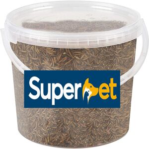 Superpet 'Just A Tub' 5L Dried Mealworms For Birds Superpet 'Just A Tub' 5L Dried Mealworms For Birds