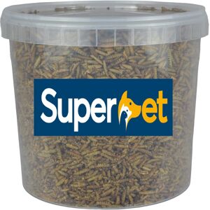 Superpet Just A Tub 5L Dried Calciworms for Birds - Premium Calcium-Rich Bird Tr Superpet Just A Tub 5L Dried Calciworms for Birds - Premium Calcium-Rich Bird Tr