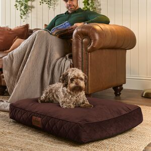 Slumberdown (Chocolate Brown, Medium) Paws for Slumber Padded Pet Bed UK Made Slumberdown (Chocolate Brown, Medium) Paws for Slumber Padded Pet Bed UK Made