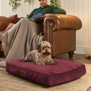 Slumberdown (Burgundy , Medium) Paws for Slumber Padded Pet Bed UK Made Slumberdown (Burgundy , Medium) Paws for Slumber Padded Pet Bed UK Made