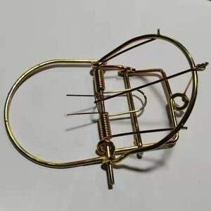 Unbranded (Golden Large) Spring Mouse Trap Rat Weasel Catcher Mice Pest Control Hunting Ou Unbranded (Golden Large) Spring Mouse Trap Rat Weasel Catcher Mice Pest Control Hunting Ou