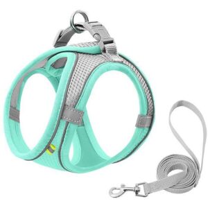Unbranded (green, M) Cat Harness Leash Set Escape Proof Kitten Harness For Cat Small Dog B Unbranded (green, M) Cat Harness Leash Set Escape Proof Kitten Harness For Cat Small Dog B