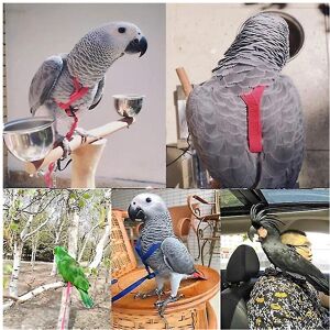 Unbranded (XS) Parrot Bird Harness Leash Outdoor Flying Traction Straps Band Adjustable An Unbranded (XS) Parrot Bird Harness Leash Outdoor Flying Traction Straps Band Adjustable An