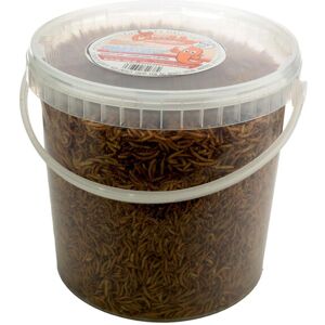Chubby Mealworms Chubby Dried Mealworms Wild Bird Food 10L Tub Chubby Mealworms Chubby Dried Mealworms Wild Bird Food 10L Tub