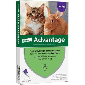 Advantage Spot On Flea Treatment for Large Cats and Rabbits, 4 Pipette Advantage Spot On Flea Treatment for Large Cats and Rabbits, 4 Pipette