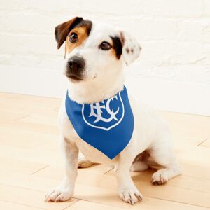 WHIBOS (Vintage Everton=1345) 2-in-1 Pet Bandana Collar with Quick Release Buckle & D-R WHIBOS (Vintage Everton=1345) 2-in-1 Pet Bandana Collar with Quick Release Buckle & D-R