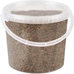 Pet Ting Premium Dried Mealworms, 5 Litre Tub Pet Ting Premium Dried Mealworms, 5 Litre Tub