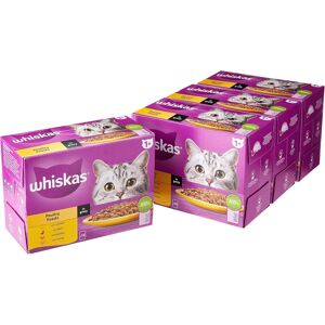 Unbranded WHISKAS 1+ Cat Pouches Poultry Feasts in Gravy 4x12x85g Unbranded WHISKAS 1+ Cat Pouches Poultry Feasts in Gravy 4x12x85g
