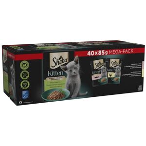 Sheba Sauce Collection Cat Food Pouch for Kitten Mixed Selection in Gravy 40x85g Sheba Sauce Collection Cat Food Pouch for Kitten Mixed Selection in Gravy 40x85g