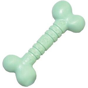 Rosewood Small Mint Bone – Durable Nylon Chew Toy for Small Dogs Rosewood Small Mint Bone – Durable Nylon Chew Toy for Small Dogs