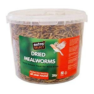 Extra Select Dried Mealworms Wild Bird Feed Treat, 3 Litre Extra Select Dried Mealworms Wild Bird Feed Treat, 3 Litre