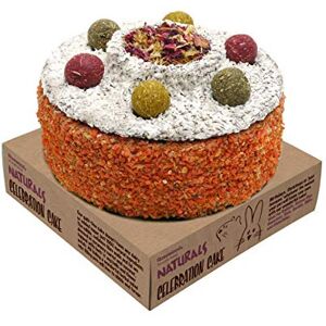 Rosewood Naturals Celebration Cake, Small Animal Treat for Rabbits, Guinea Pigs, Rosewood Naturals Celebration Cake, Small Animal Treat for Rabbits, Guinea Pigs,