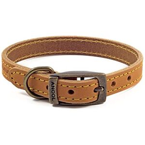 Ancol Timberwolf Comfortable Durable Leather Mustard Dog Collar Pet Training Acc Ancol Timberwolf Comfortable Durable Leather Mustard Dog Collar Pet Training Acc