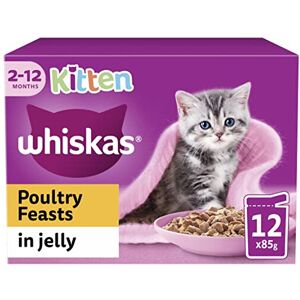 Whiskas Junior Poultry Selection in Jelly 48 x 85 g Pouches, Kitten Cat Food, Pa Whiskas Junior Poultry Selection in Jelly 48 x 85 g Pouches, Kitten Cat Food, Pa