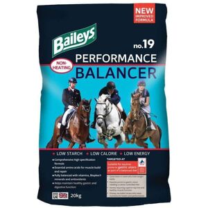 Baileys No.19 Performance Balancer 20kg Baileys No.19 Performance Balancer 20kg