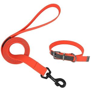 Unbranded (XXS, Black) Dog Collar And Leash Set Designer Pet Collars Training Lead Rope Du Unbranded (XXS, Black) Dog Collar And Leash Set Designer Pet Collars Training Lead Rope Du