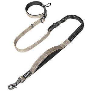 Unbranded (Green, One size) Multifunctional Dog Leash Bungee Pet Lead Shock Absorbing Refl Unbranded (Green, One size) Multifunctional Dog Leash Bungee Pet Lead Shock Absorbing Refl