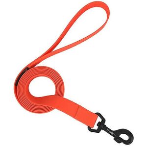 Unbranded (L 2.5cm x 200cm, Orange) Dog Leash Waterproof Nylon Pet Lead Rope Training Stro Unbranded (L 2.5cm x 200cm, Orange) Dog Leash Waterproof Nylon Pet Lead Rope Training Stro