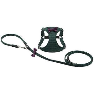 Unbranded (XS 31-42cm Chest, Green) Soft Dog Harness And Leash Set Adjustable Step In Pupp Unbranded (XS 31-42cm Chest, Green) Soft Dog Harness And Leash Set Adjustable Step In Pupp