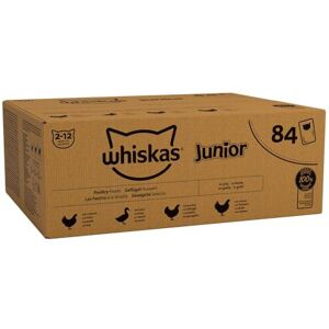 Whiskas Junior Poultry Selection in Jelly Megapack – 84 x 85 g Pouches, Kitten W Whiskas Junior Poultry Selection in Jelly Megapack – 84 x 85 g Pouches, Kitten W