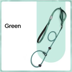 ARLINENS ((Green)) Nylon Slip Lead Dog Leash with Double Handle Heavy Duty Training & Wal ARLINENS ((Green)) Nylon Slip Lead Dog Leash with Double Handle Heavy Duty Training & Wal
