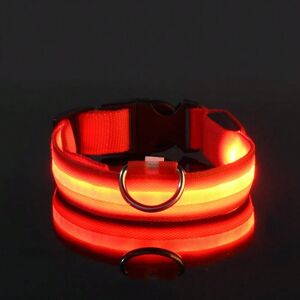 Gaatpot (Red, XL) Nylon LED Night Safety Flashing Glow In The Dark Dog Leash Dogs Lumino Gaatpot (Red, XL) Nylon LED Night Safety Flashing Glow In The Dark Dog Leash Dogs Lumino