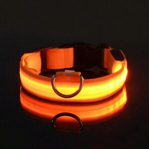 Gaatpot (Orange, M) Nylon LED Night Safety Flashing Glow In The Dark Dog Leash Dogs Lumi Gaatpot (Orange, M) Nylon LED Night Safety Flashing Glow In The Dark Dog Leash Dogs Lumi